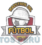 MAESTRO DEL FÚTBOL MAESTRO