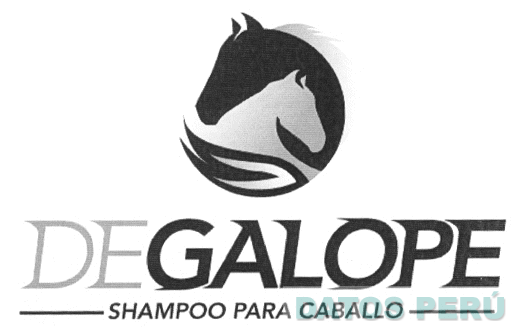 DEGALOPE SHAMPOO PARA CABALLO