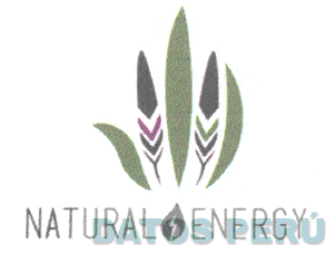 NATURAL ENERGY