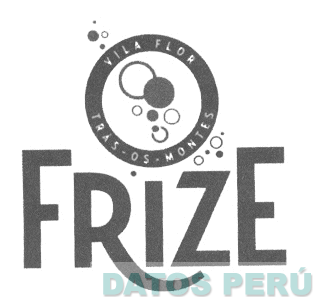 FRIZE VILA FLOR TRAS - OS - MONTES