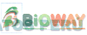 B BIOWAY