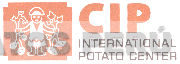 CIP INTERNATIONAL POTATO CENTER