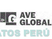 G AVE GLOBAL