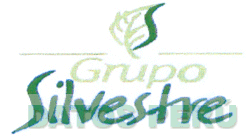 GRUPO SILVESTRE