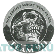 WE FIGHT WHAT YOU FEAR TEAM 911