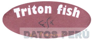 TRITON FISH LA INSUPERABLE