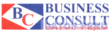BC BUSINESS CONSULT