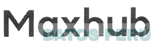 MAXHUB
