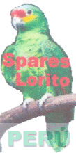 SPARES LORITO