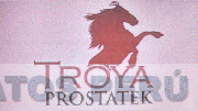 TROYA PROSTATEK