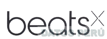 BEATS X