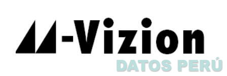 M - VIZION