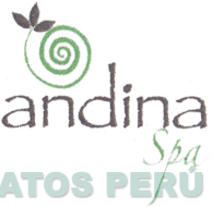 ANDINA SPA