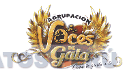 AGRUPACION VOCES DE GALA COMO TE GUSTA A TI...!!