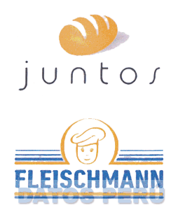 JUNTOS FLEISCHMANN