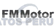 FM MOTOR