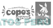 CREMOLADAS COPO'S FRUIT REFRESCA TU DIA CON FRUTAS TROPICALES
