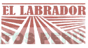 EL LABRADOR