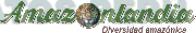AMAZONLANDIA DIVERSIDAD AMAZÓNICA