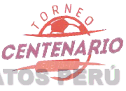 TORNEO CENTENARIO SUB 15 - 17