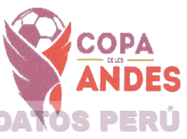 COPA DE LOS ANDES