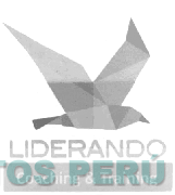 LIDERANDO COACHING & TRAINING