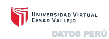 UNIVERSIDAD VIRTUAL CÉSAR VALLEJO