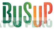 BUSUP