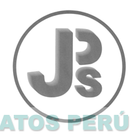 JPS