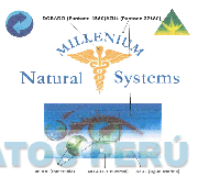 MILLENIUM NATURAL SYSTEMS