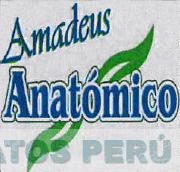 AMADEUS ANATÓMICO