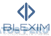 BLEXIM HECHOS PARA LA MINERÍA