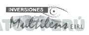 INVERSIONES MULTILENS E.I.R.L.