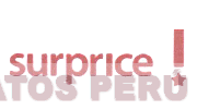 SURPRICE !