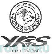 YKS YINGKESONG GREETING PINE