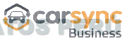 CARSYNC BUSINESS