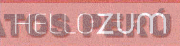 HELLOZUM