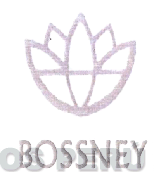 BOSSNEY