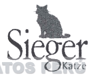 SIEGER KATZE