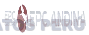 EPC GROUPE EPC ANDINA