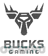 BUCKS GAMING