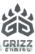 GG GRIZZ GAMING