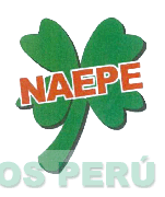 NAEPE