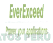 EVEREXCEED POWER YOUR APPLICATIONS