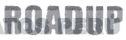 ROADUP