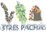 3TRES PACHAS