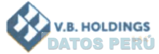 V.B. HOLDINGS S.A.C.
