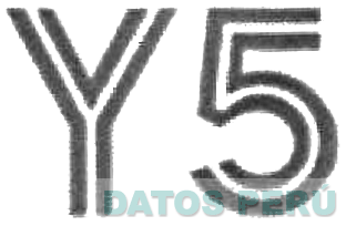 Y5