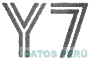 Y7