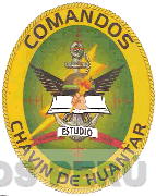 COMANDOS CHAVIN DE HUANTAR DISCIPLINA ESTUDIO CORAJE